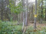  Irish Hill Road - Photo 19