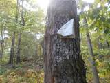  Irish Hill Road - Photo 5