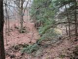  Feathers Creek Road - Photo 12