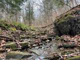  Feathers Creek Road - Photo 14