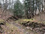  Feathers Creek Road - Photo 16