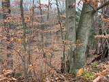  Feathers Creek Road - Photo 19