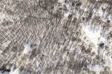 V/L Kent Road - Photo 7