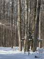  V/L Syler Road - Photo 2