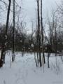  V/L Syler Road - Photo 3