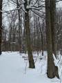  V/L Syler Road - Photo 4
