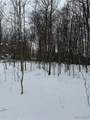  V/L Syler Road - Photo 5