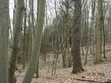 9999 Olean Road - Photo 23