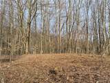 0 Haines Hollow Road - Photo 11