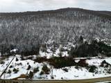  Maples Road - Photo 4