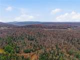  Nys Rte 16 - Photo 14