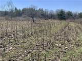 6320 Stinson Road - Photo 13