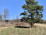 6320 Stinson Road - Photo 18