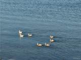 7945 Lake Rd - Photo 24
