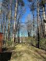 3631 Pine Ridge Road - Photo 30