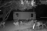 2574 Clark Road - Photo 19