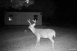 2574 Clark Road - Photo 20