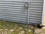 2574 Clark Road - Photo 6