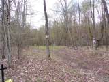  Clair Carrier Road - Photo 4