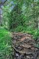 7749 Crabb Hollow Road - Photo 46