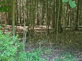 5351 Middle Road - Photo 10