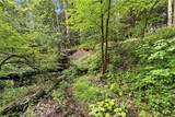 11683 Town Line Road - Photo 6