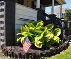 129 Main Street - Photo 6