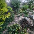 153 Pinecrest Drive - Photo 41