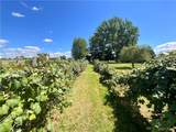 6680 Heise Road - Photo 31