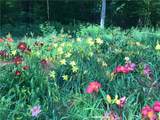 6667 Hunters Creek Road - Photo 33