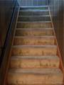 7322 Ridge Road - Photo 11