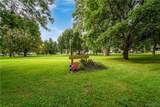 50 Elmwood Park - Photo 6