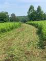 Lot 11 Meadow Brook Drive - Photo 9