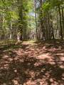 Lot 34.2 State Hwy 28 - Photo 12