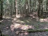 Lot 34.2 State Hwy 28 - Photo 5