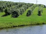 4990 State Route 21 - Photo 2