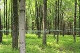 8404 State Highway 28 - Photo 20