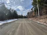 Lot 3 Burdick Hill Road - Photo 6