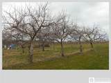 10662 Carris Road - Photo 2