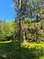 0 Clear Creek Road - Photo 19