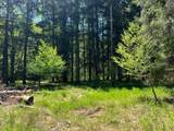 0 Clear Creek Road - Photo 22