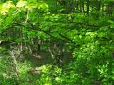 800 Kenyon Hill Road - Photo 43