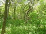 Lot 19 Orchard Lane - Photo 1