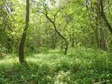 Lot 19 Orchard Lane - Photo 2
