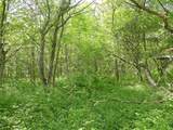 Lot 19 Orchard Lane - Photo 3