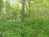 Lot 19 Orchard Lane - Photo 4