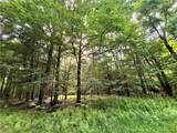 0 County Route 41 - Photo 24