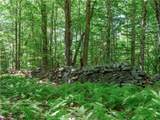 0 Alpine Drive - Photo 1