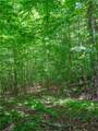 0 Alpine Drive - Photo 4