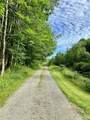 1191 Peakes Brook Road - Photo 43